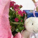 Cesta Encanto Rosa
