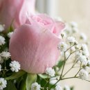 Buquê Verso em Rosas