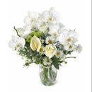 Arranjo Essência de Luz