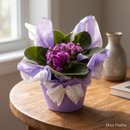 Doce Violeta