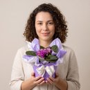 Doce Violeta