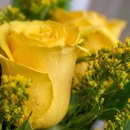 Ramalhete Encanto Amarelo