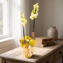 Orquídea do Amor