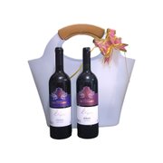 Cesta Vinhos e Cooler