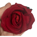 Buquê de 7 Rosas Vermelhas Artificiais 