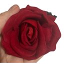Buquê de 15 Rosas Vermelhas Artificiais