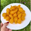 Doce Chuvisco Doces D'Angelo Pote com 400 g