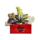 Cesta Amor com Orquídea