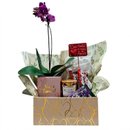 Cesta Especial Para o Amor Com Chocolate E Orquídea