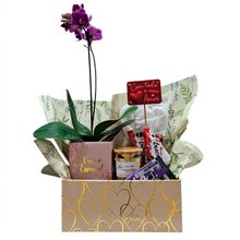 Cesta Especial Para o Amor Com Chocolate E Orquídea