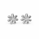 Brinco Flor Ponto de Luz Banhado a Ródio Branco