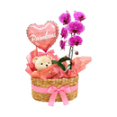 Cesta Luxo Orquídea Rosa Parabéns com Urso