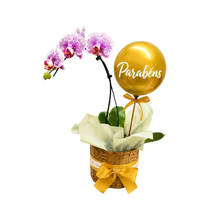 Orquídea Branca no Cesto com Bubble Dourado Parabéns