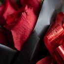 Buque Classic 6 Rosas Vermelhas