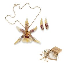 Joia Botânica Orquidea Oncidium Banho Nobre Ouro