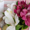 Aroma e Delicadeza