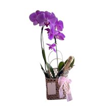 Cesta com Flores e Espumante