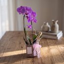 Cesta com Flores e Espumante