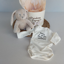 Box Boas-Vindas, Anuncio e Presente pela Gestação