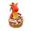 Cesta Dino