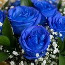 Buquê com 12 Rosas Azuis
