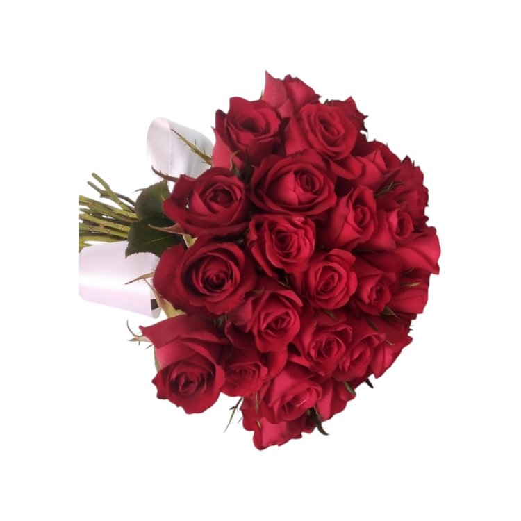 36 Rosas da Paixão