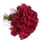 36 Rosas da Paixão
