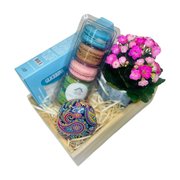 Box Sensorial Mimo