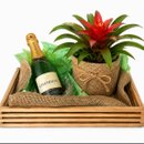 Box Date Me Bromelia