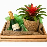 Box Date Me Bromelia
