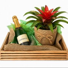 Box Date Me Bromelia