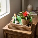 Box Date Me Bromelia