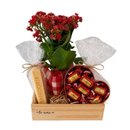 Box Doce Amor