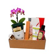 Box Obrigado Queridos Vos