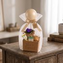 Box Você é Especial com Balão