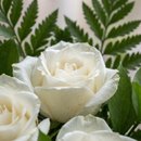 Buquê 12 Rosas