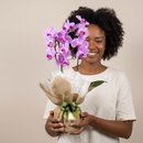 Arranjo Orquídea Cascata