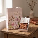 Box Brownie e Semijoia