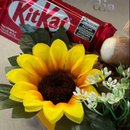 Mimo Com Chocolate Girassol E Pelúcia