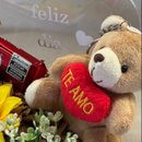 Mimo Com Chocolate Girassol E Pelúcia