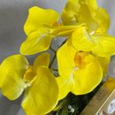 Box Ferrero e Orquídea Amarela