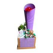 Encanto de Chocolate e Trufas