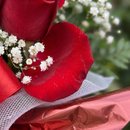 Nuvem de Rosas Florir