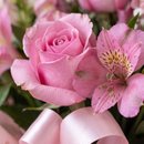Buquê 6 Rosas Rosas Encanto Rosé 