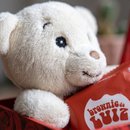Box Chocolovers Com Urso de Pelúcia E Muito Chocolate
