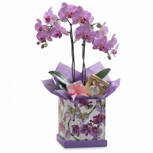 Box Flowers Com Orquídea Ferrero Rocher E Semijóia