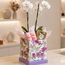 Box Flowers Com Orquídea Ferrero Rocher E Semijóia