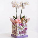 Box Flowers Com Orquídea Ferrero Rocher E Semijóia