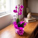 Orquídea em Box