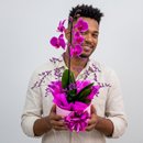 Orquídea em Box